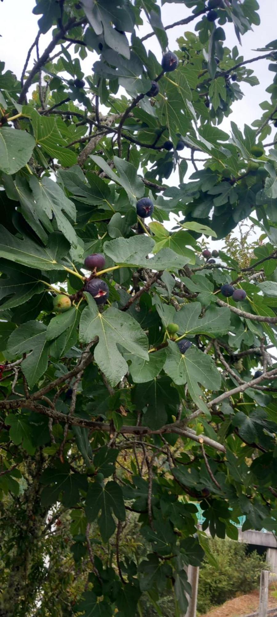 MonçãoCasinha Ponte Nova别墅 外观 照片